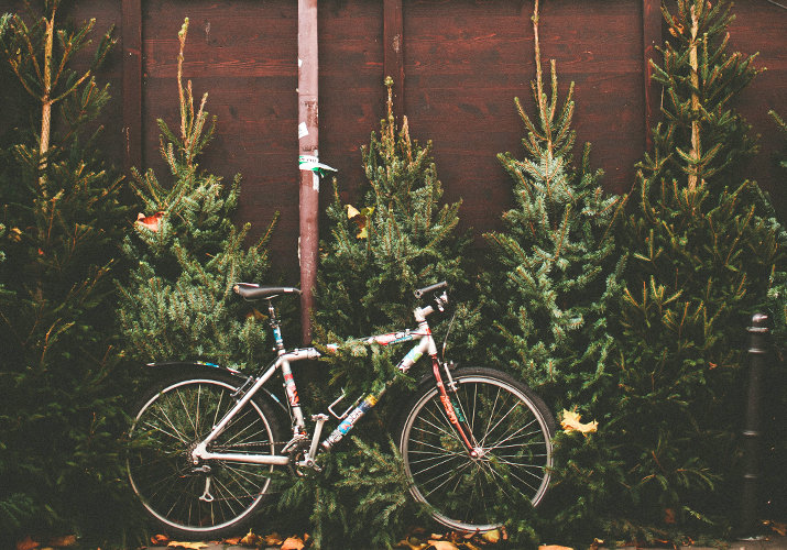 Kako izbrati pravo darilo za kolesarja