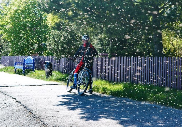 5 načinov, kako sa zaščititi na kolesu pred žuželkami