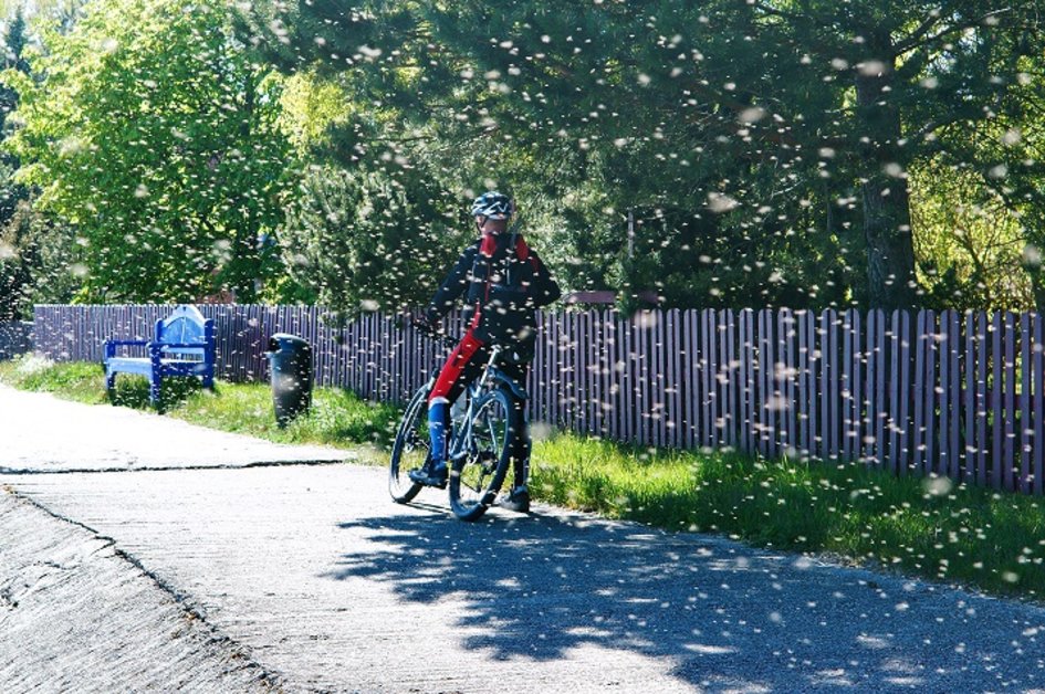 5 načinov, kako sa zaščititi na kolesu pred žuželkami>
