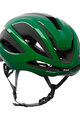 KASK Kolesarska čelada - ELEMENTO WG11 - zelena