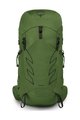 OSPREY nahrbtnik - TALON 33 L/XL - zelena