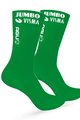 AGU Kolesarske klasične nogavice - JUMBO-VISMA 2022 - zelena
