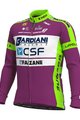ALÉ Kolesarski dres z dolgimi rokavi zimski - BARDIANI CSF 20 WNT - zelena/vijolična