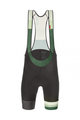 SANTINI Kolesarske kratke hlače z naramnicami - LA VUELTA 2021 - zelena/siva