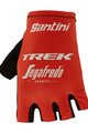 SANTINI TREK SEGAFREDO 2022 - črna/rdeča