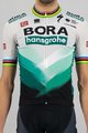 SPORTFUL Kolesarski dres s kratkimi rokavi - BORA HANSGROHE 2021 - siva/zelena