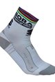 SPORTFUL Kolesarske klasične nogavice - BORA HANSGROHE 2018 - bela/siva