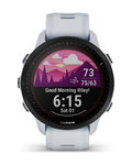 GARMIN pametna ura - FORERUNNER 955 SOLAR - siva