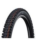 SCHWALBE plašč - ALBERT GRAVITY PRO 29x2.50 EVOLUTION 67EPI - črna