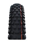 SCHWALBE plašč - ALBERT GRAVITY PRO 29x2.50 EVOLUTION 67EPI - črna