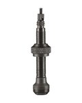 SCHWALBE ventili brez zračnice - TUBELESS VALVE 40 mm - črna