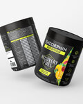 ENDORPHIN NUTRITION pijača - RECOVERY FUEL 500g
