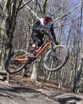 LIMAR Kolesarska čelada - DELTA MTB - zelena