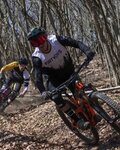 LIMAR Kolesarska čelada - DELTA MTB - zelena