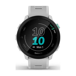 GARMIN FORERUNNER 55 - siva