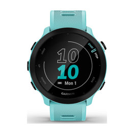 GARMIN pametna ura - FORERUNNER 55 - svetlo modra