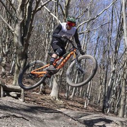 LIMAR Kolesarska čelada - DELTA MTB - zelena