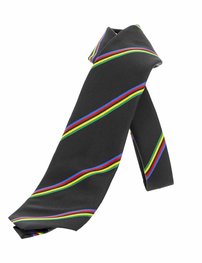 SANTINI druga - UCI - modra